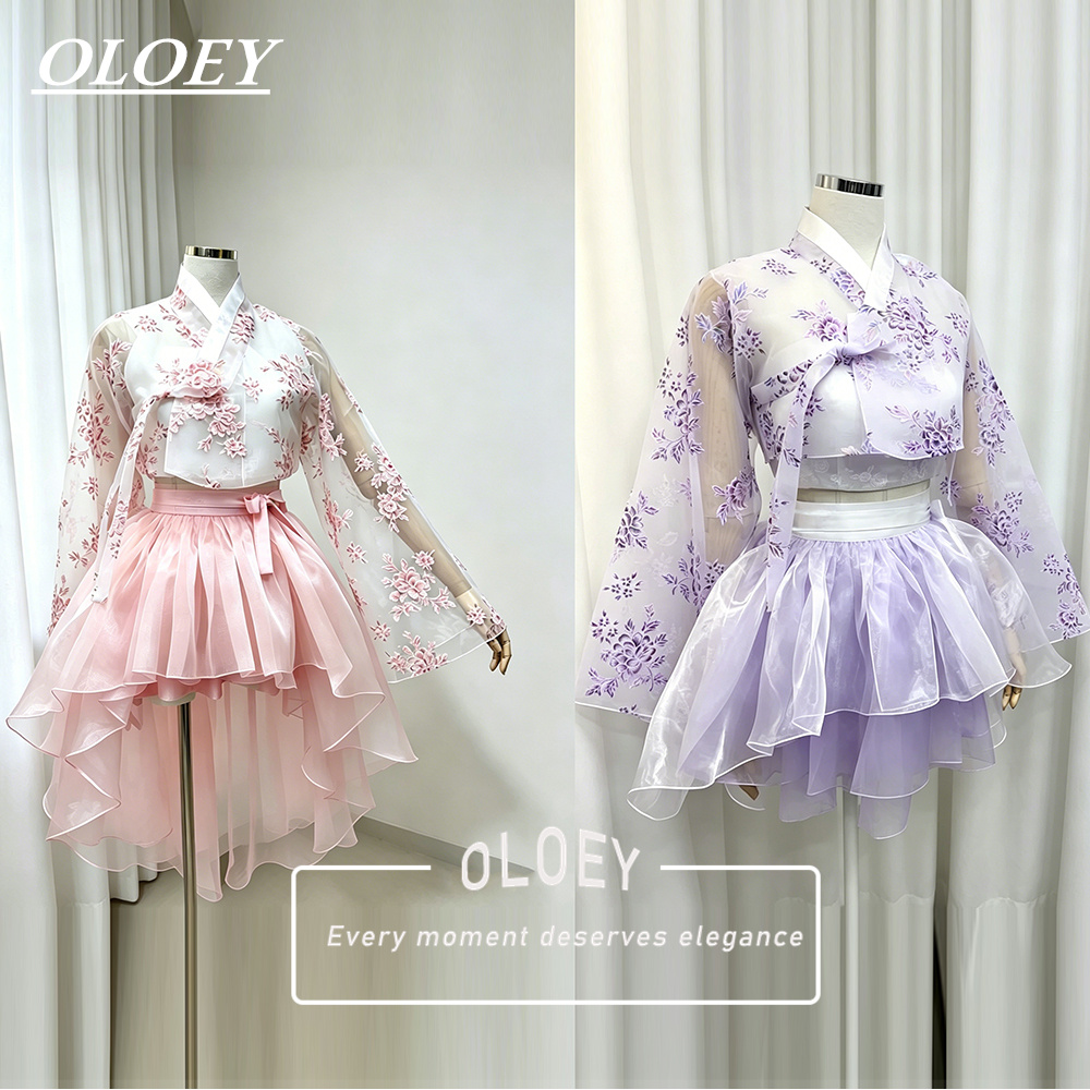 OLOEY Abito Moderno con Stampa - Hanbok Modern Set recensione e prezzo